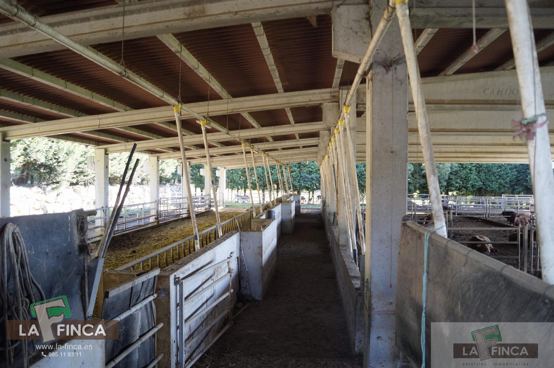 For sale of industrial plant/warehouse in Siero