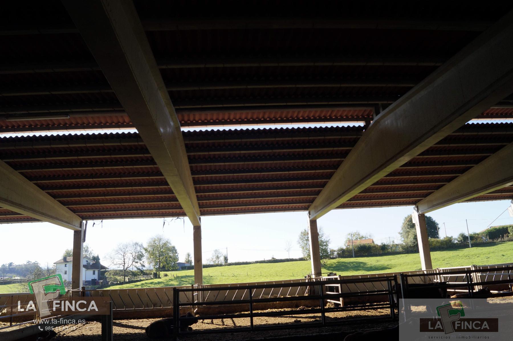 For sale of industrial plant/warehouse in Siero