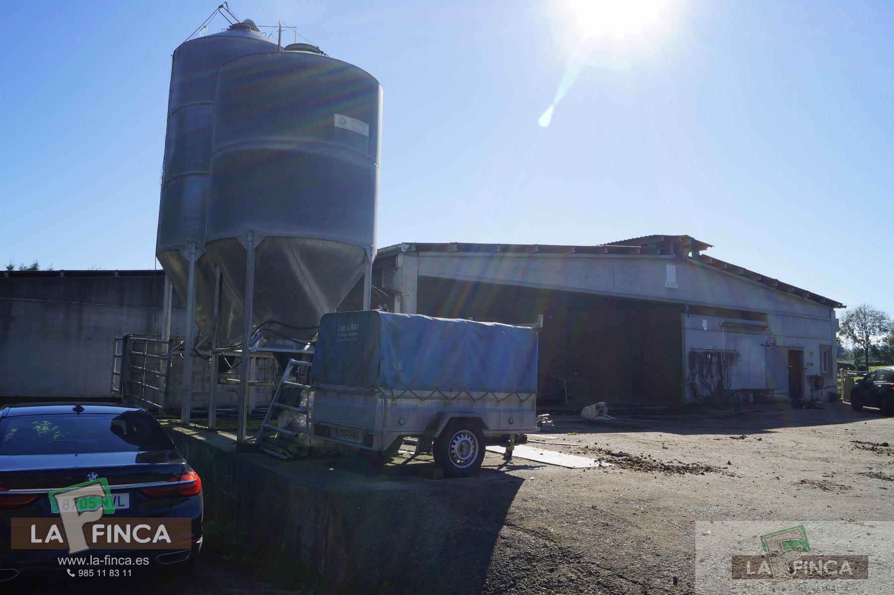 For sale of industrial plant/warehouse in Siero