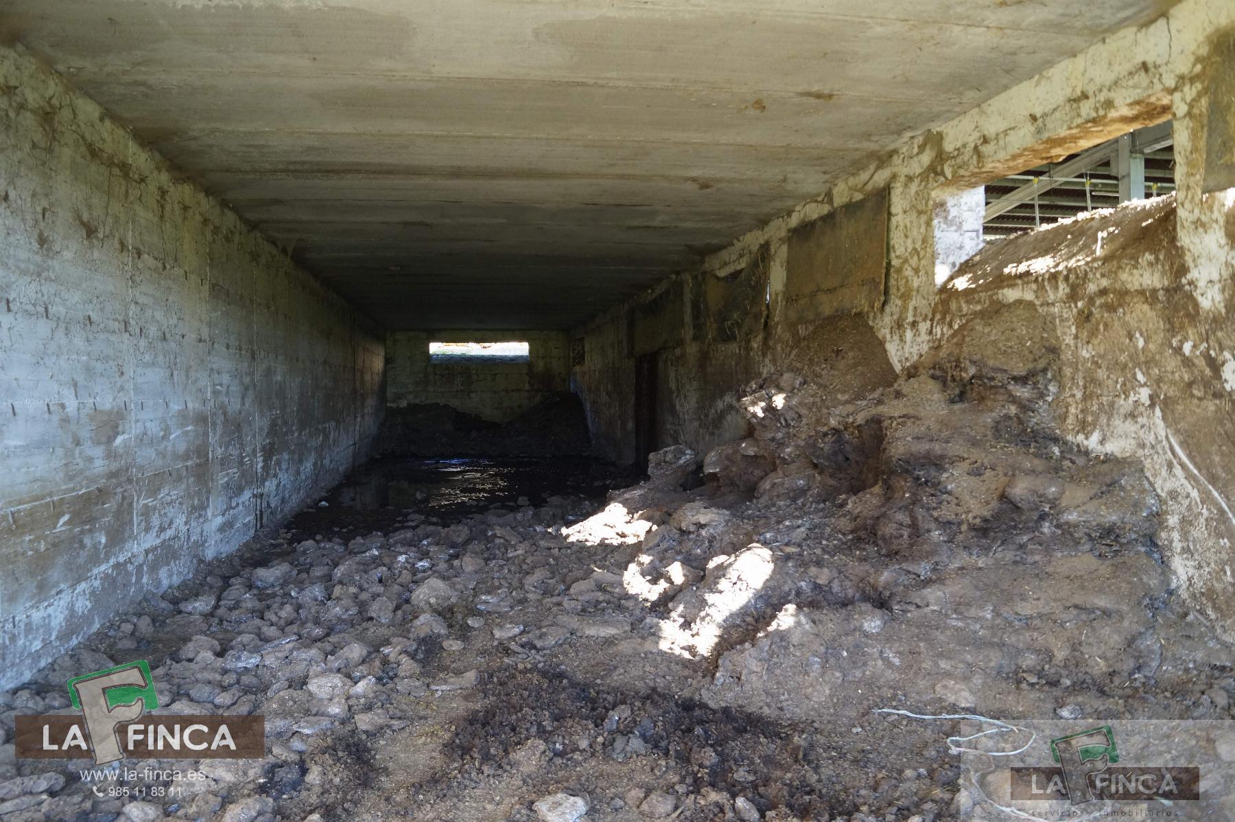 For sale of industrial plant/warehouse in Siero