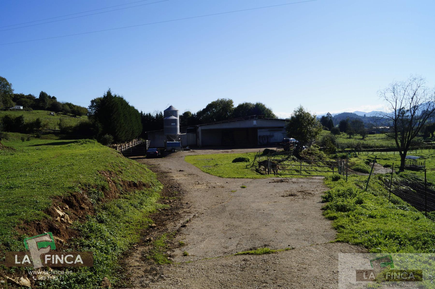 For sale of industrial plant/warehouse in Siero