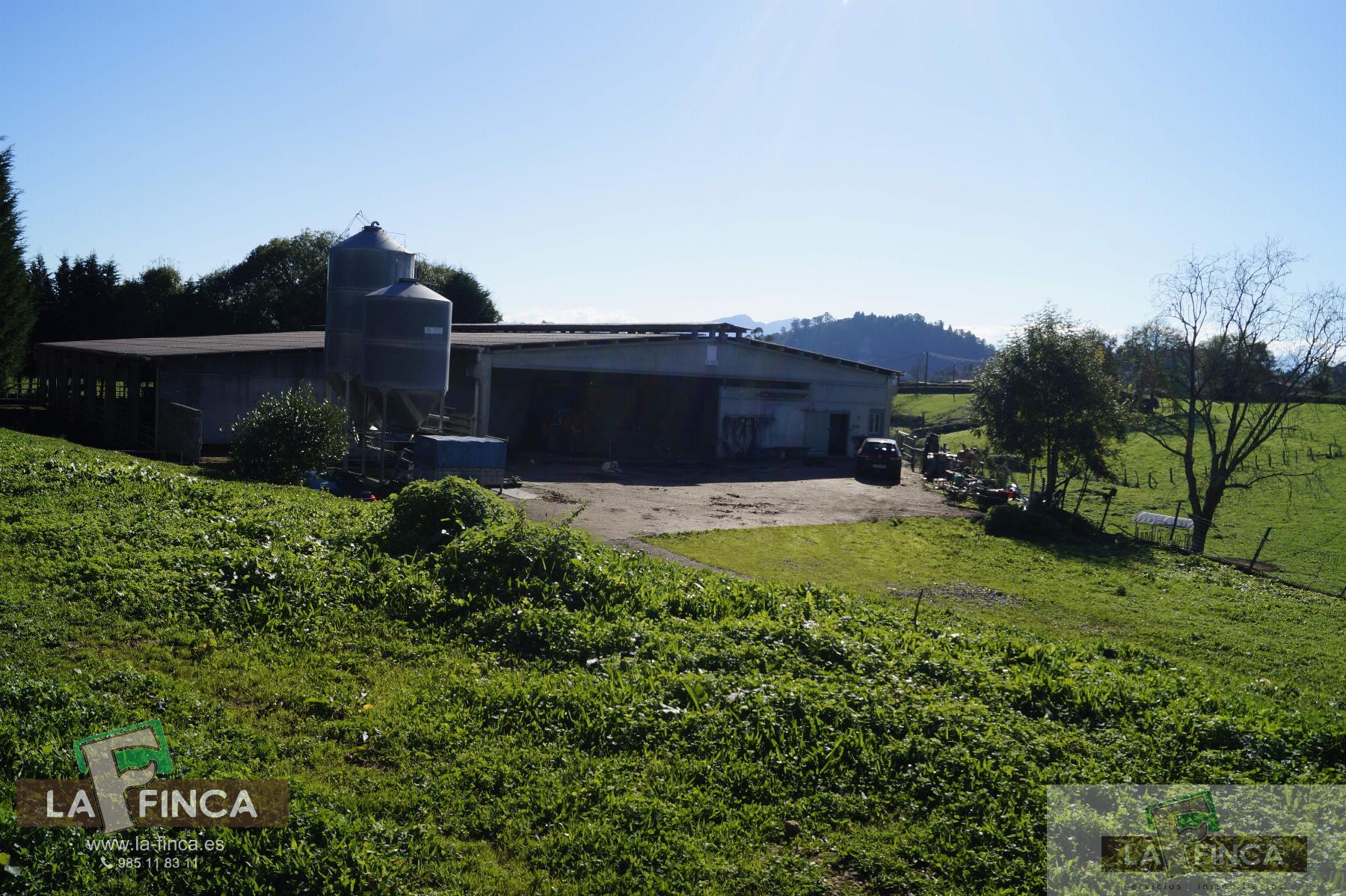 For sale of industrial plant/warehouse in Siero