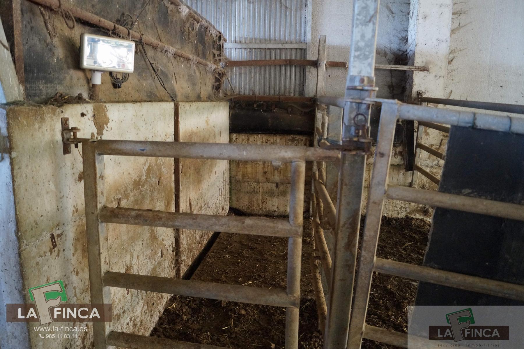For sale of industrial plant/warehouse in Siero