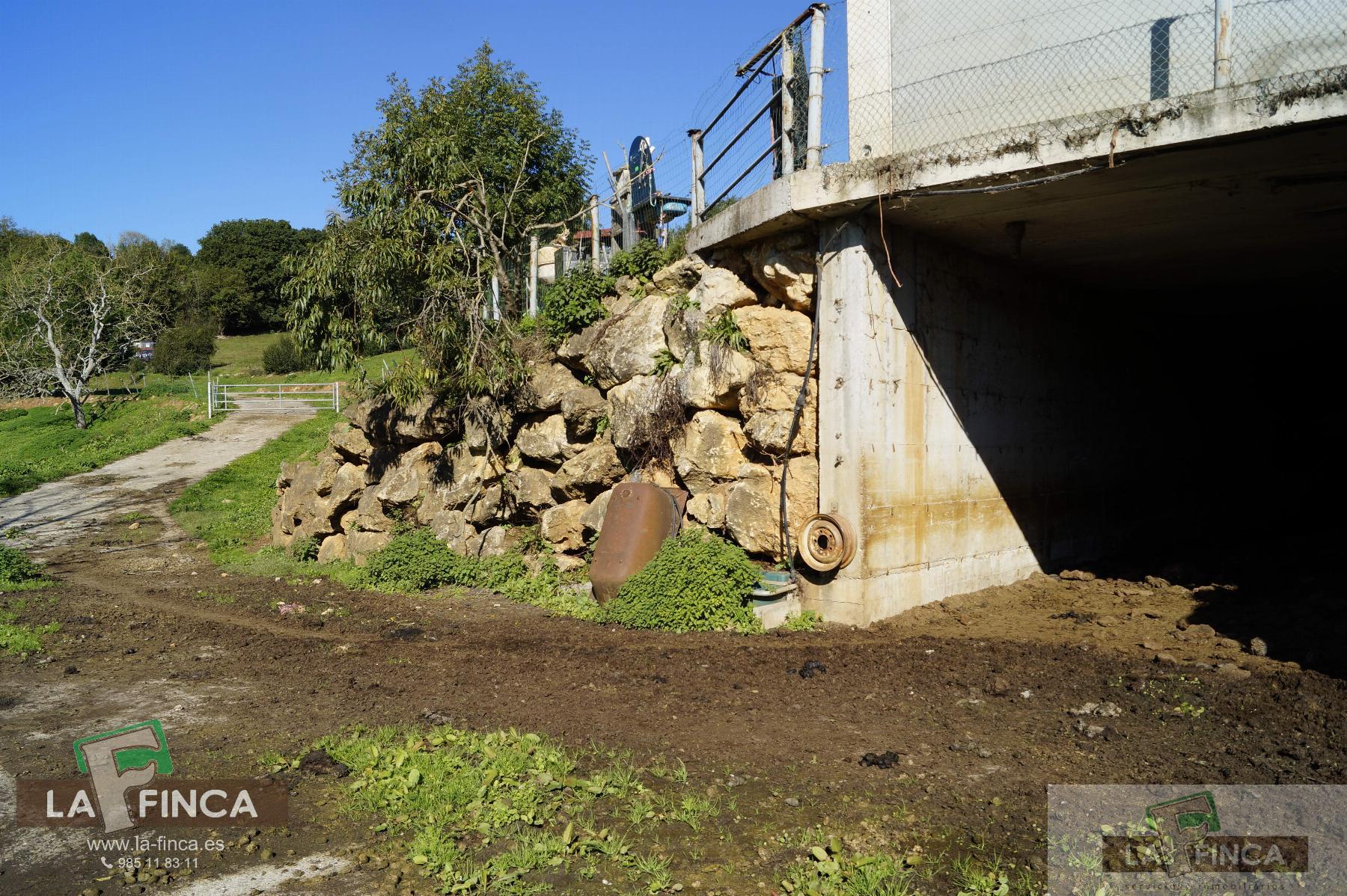 For sale of industrial plant/warehouse in Siero