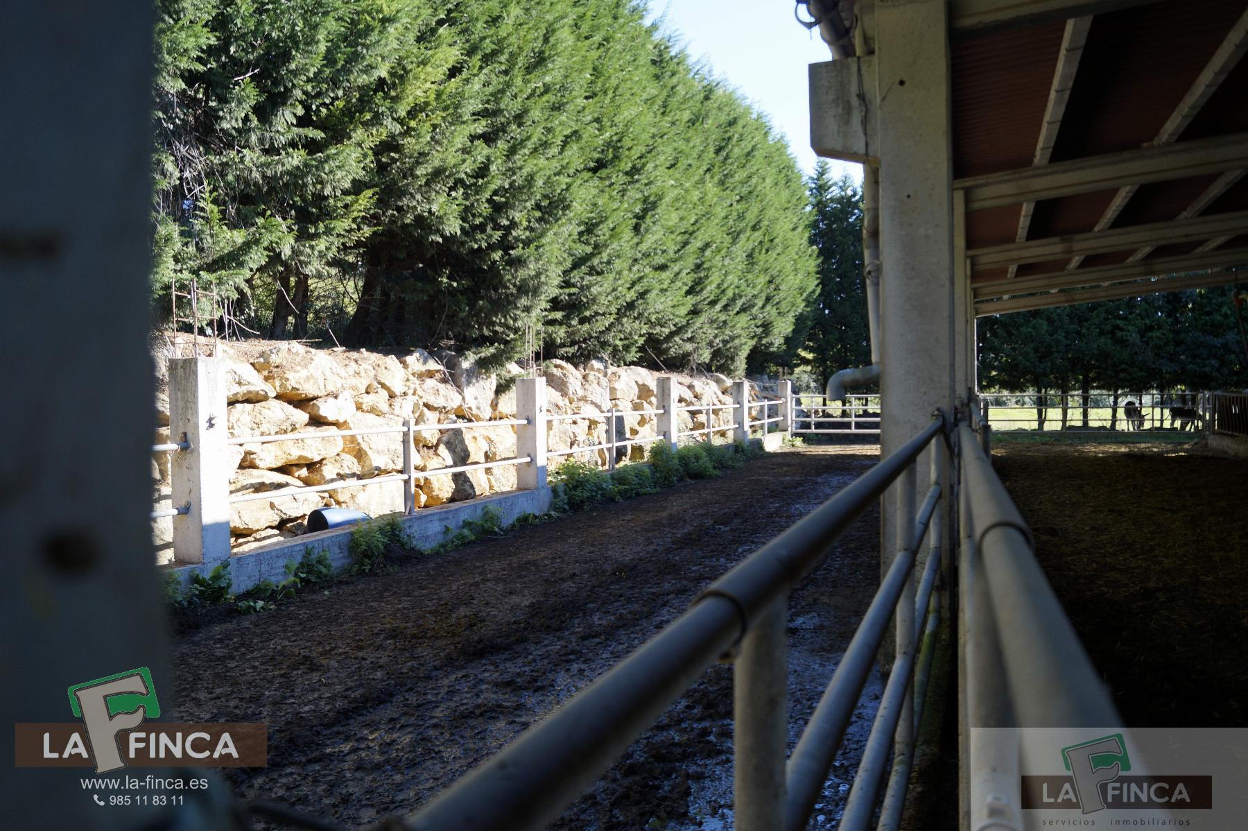 For sale of industrial plant/warehouse in Siero