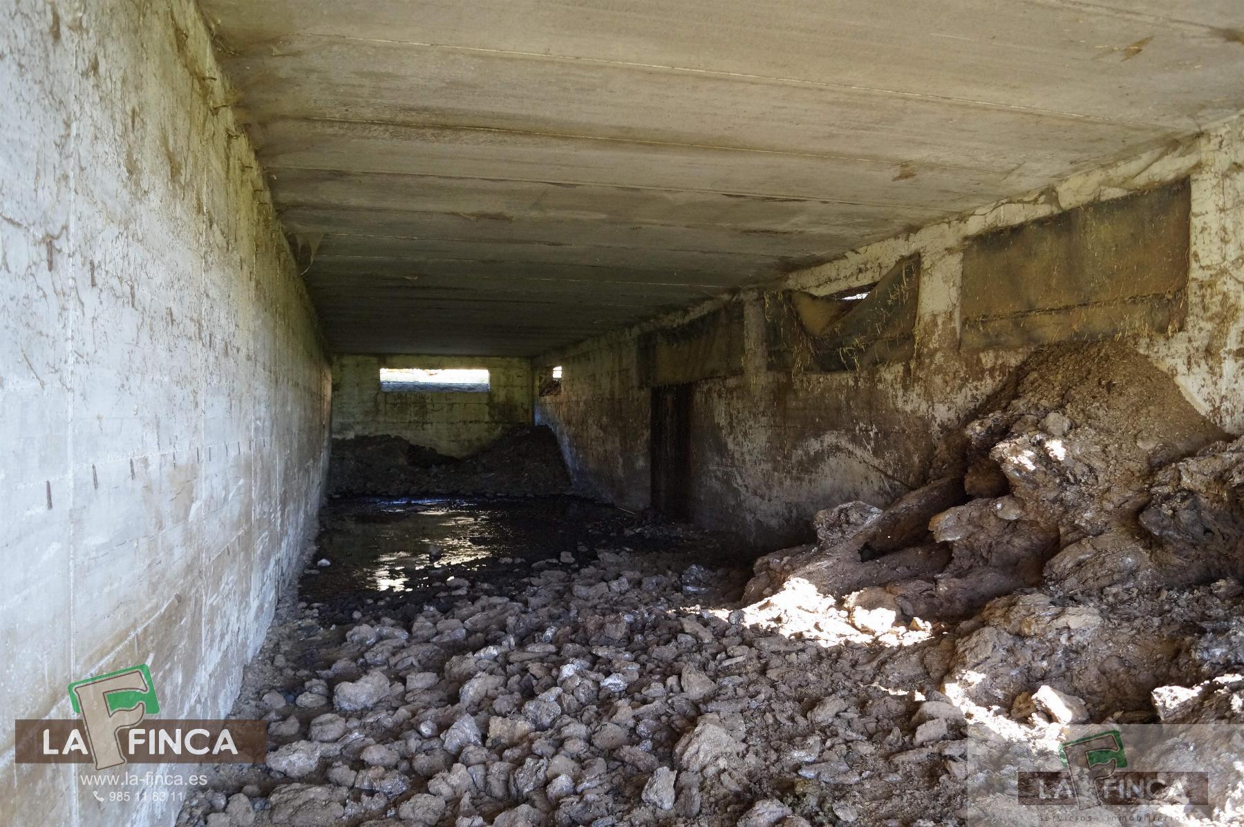 For sale of industrial plant/warehouse in Siero