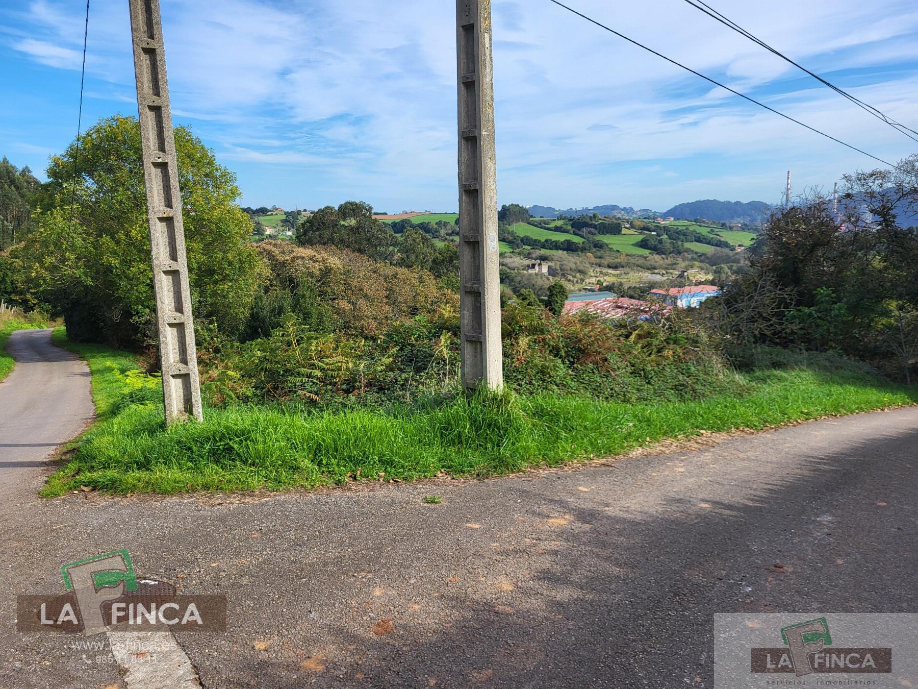 For sale of land in Carreño