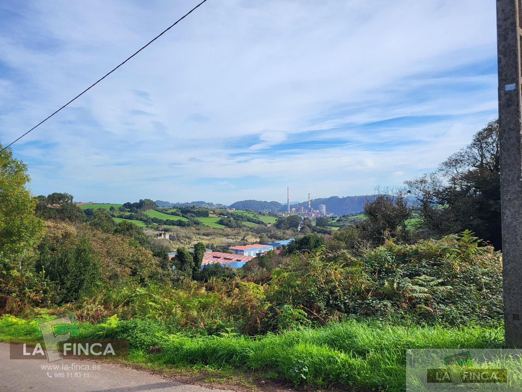 For sale of land in Carreño