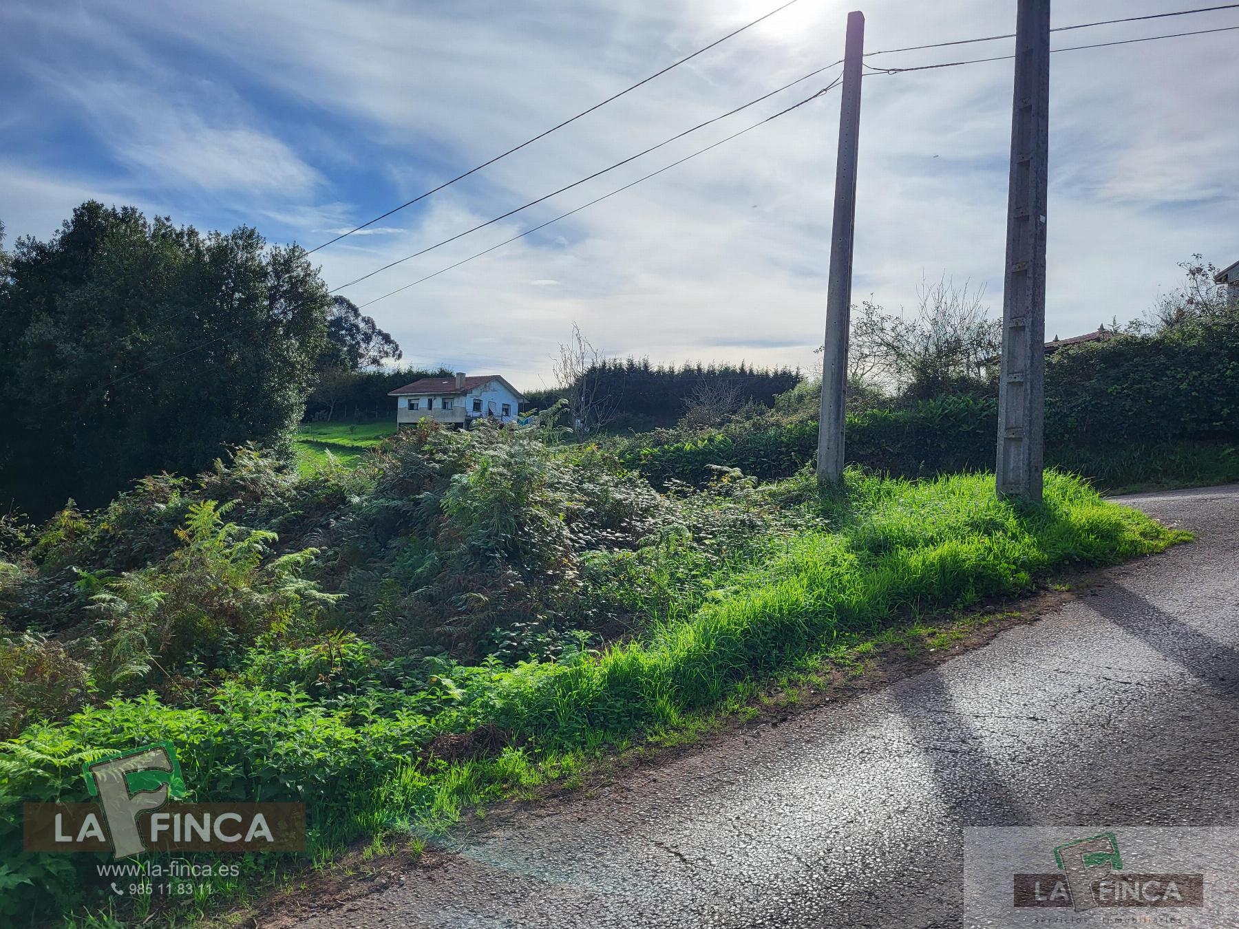 For sale of land in Carreño