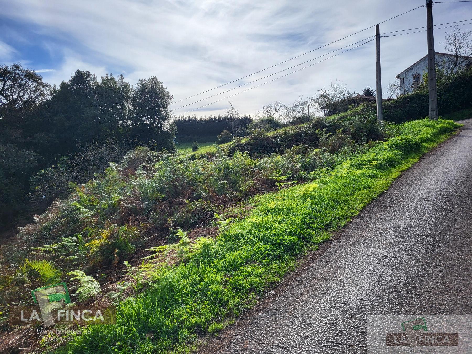 For sale of land in Carreño