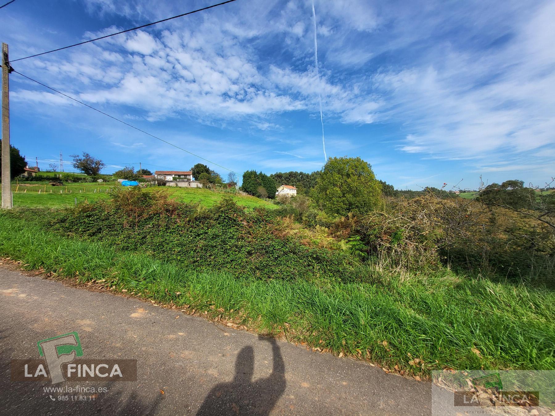 For sale of land in Carreño