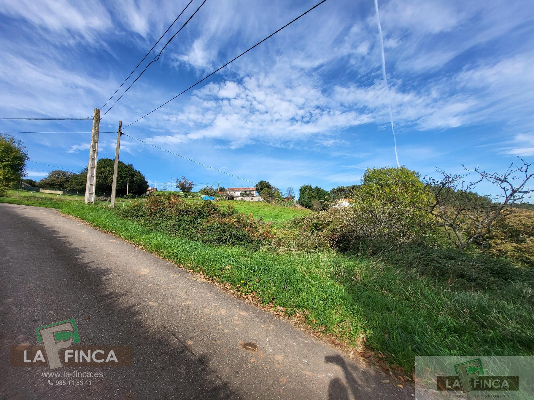 For sale of land in Carreño