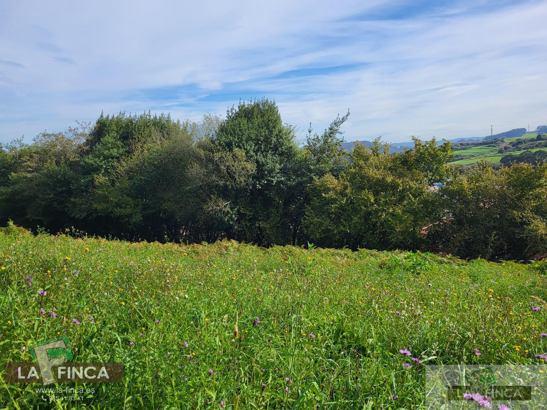 For sale of land in Carreño