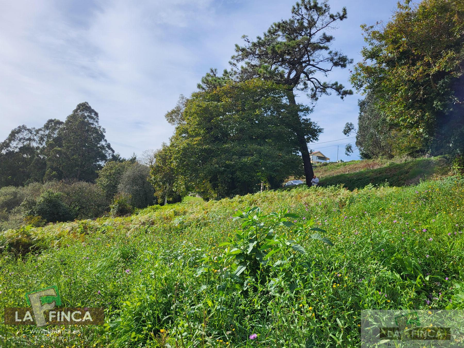 For sale of land in Carreño