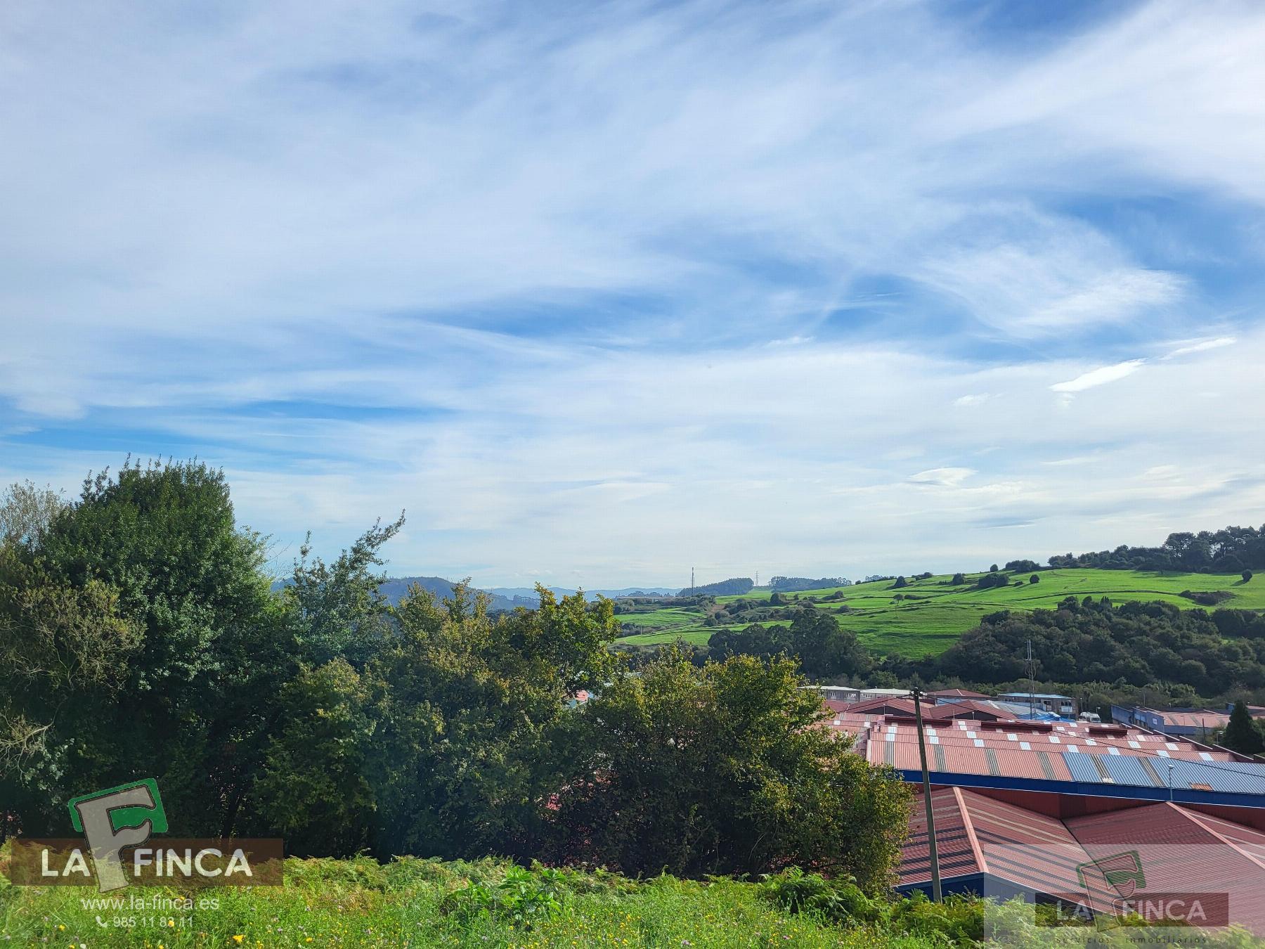 For sale of land in Carreño