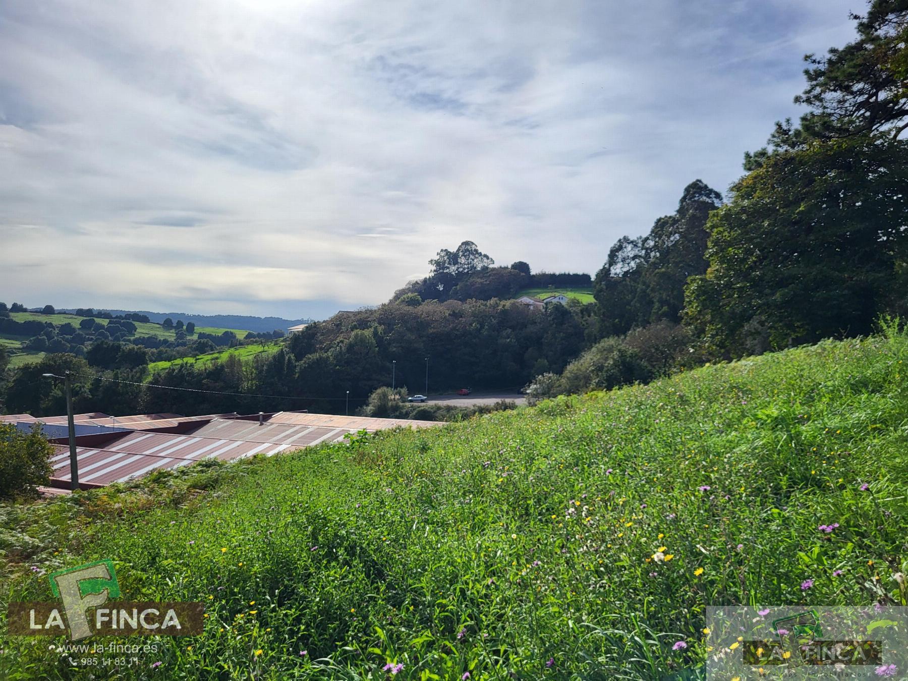 For sale of land in Carreño