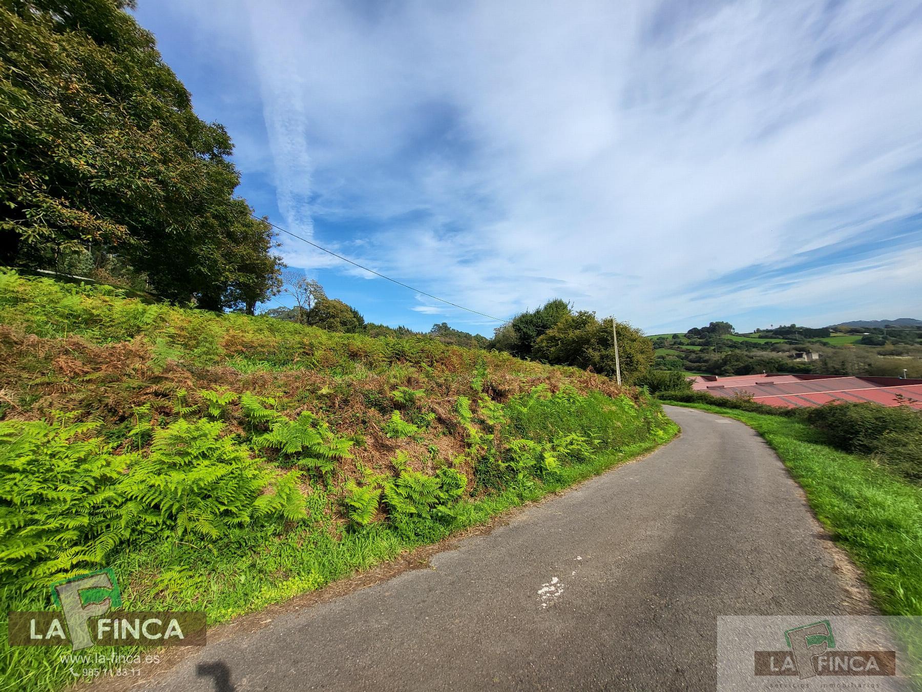 For sale of land in Carreño