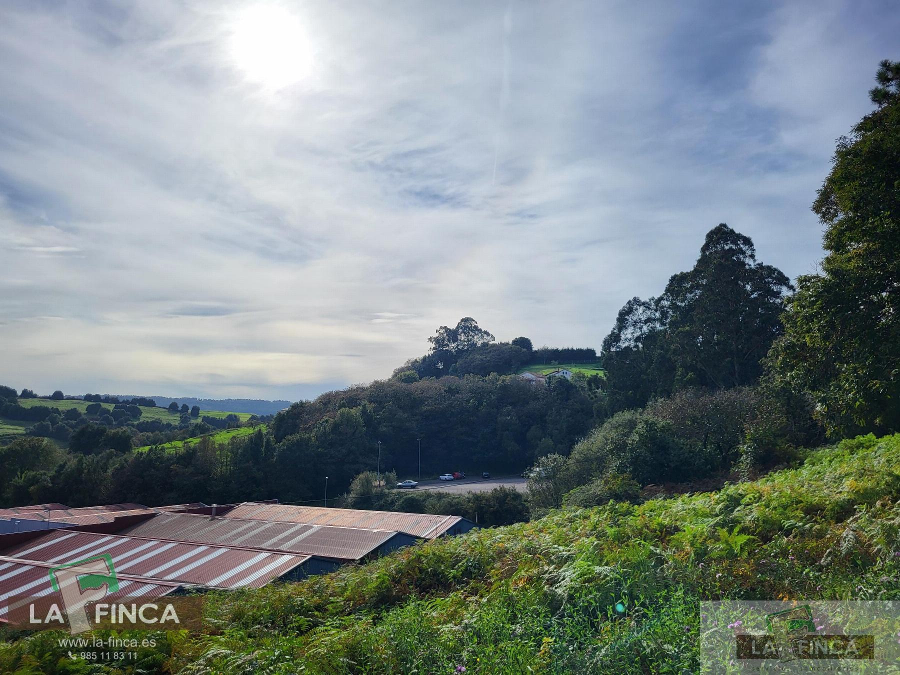 For sale of land in Carreño