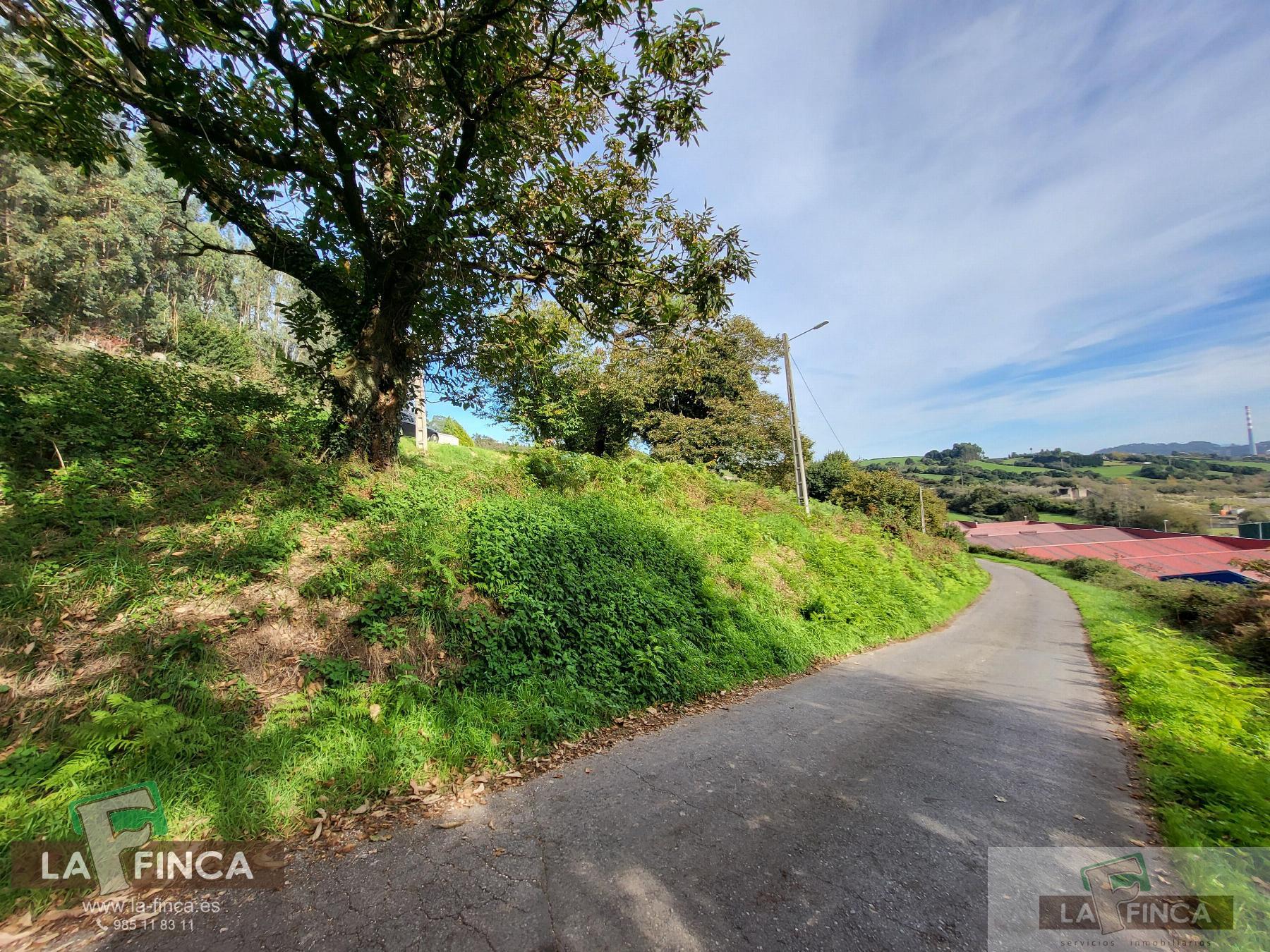 For sale of land in Carreño