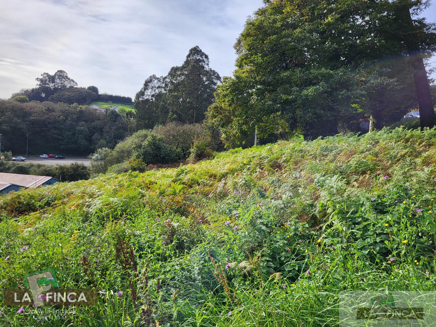 For sale of land in Carreño