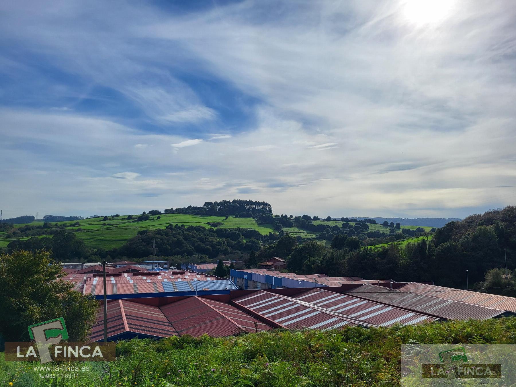 For sale of land in Carreño