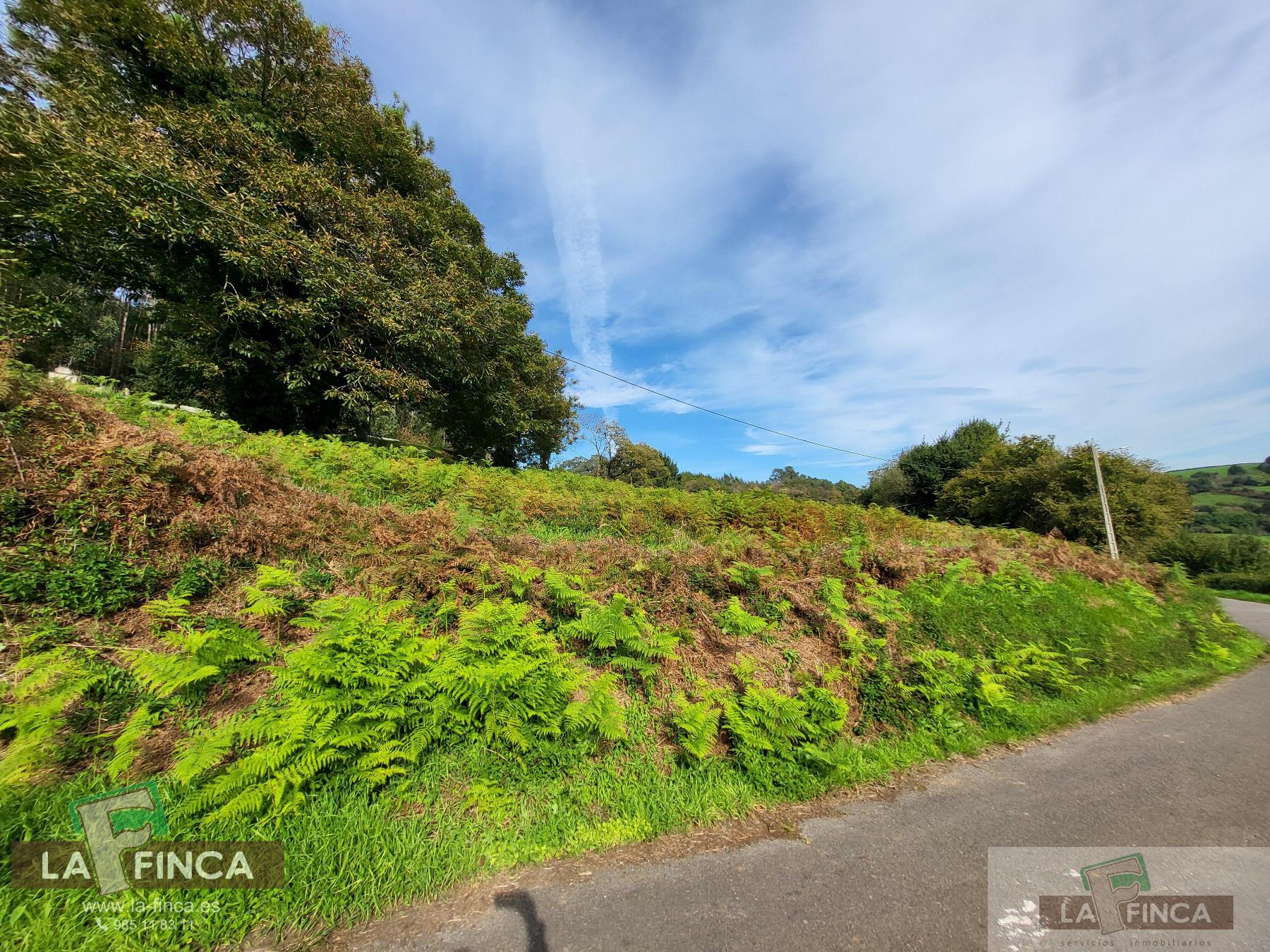 For sale of land in Carreño