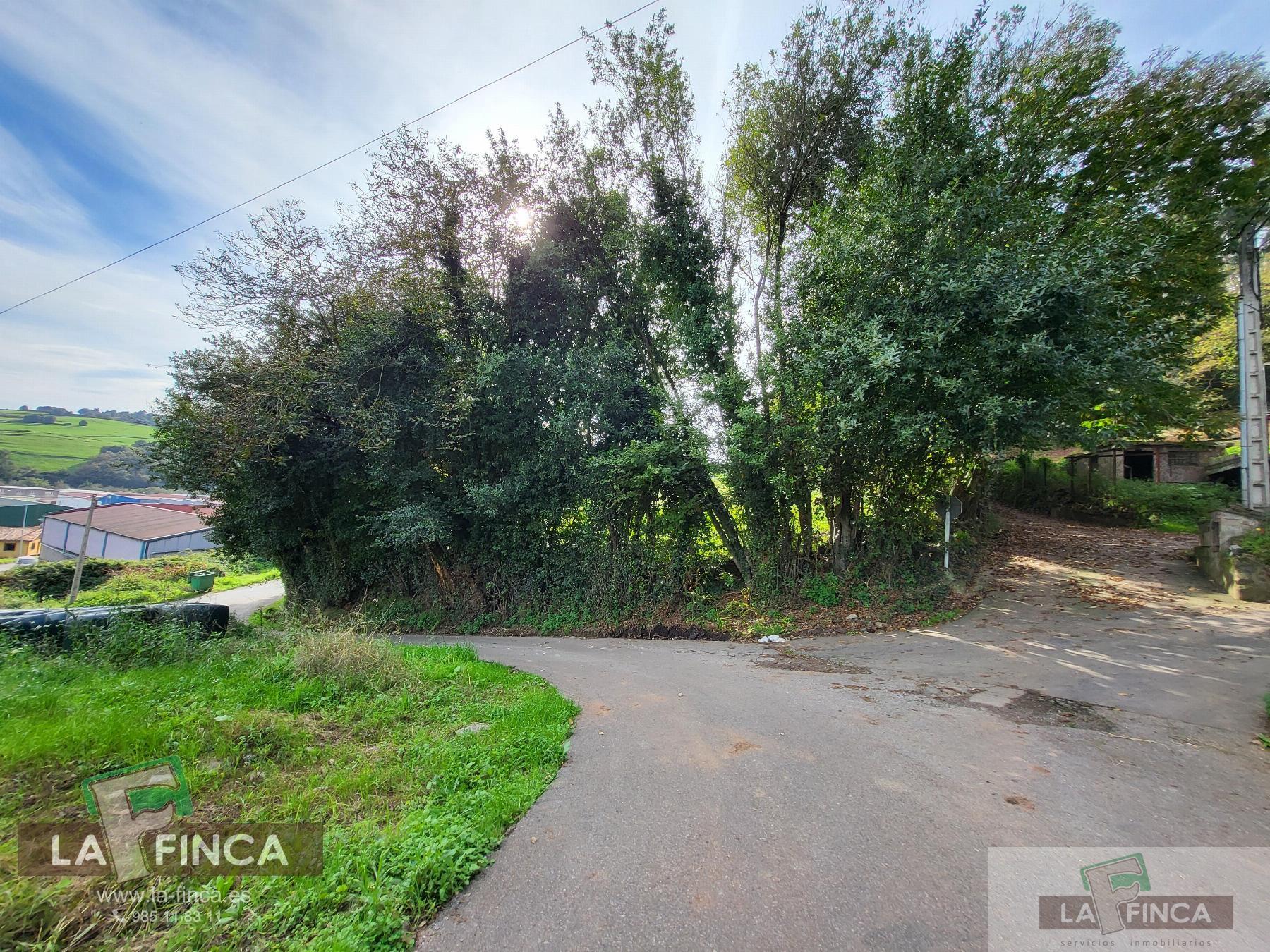 For sale of land in Carreño