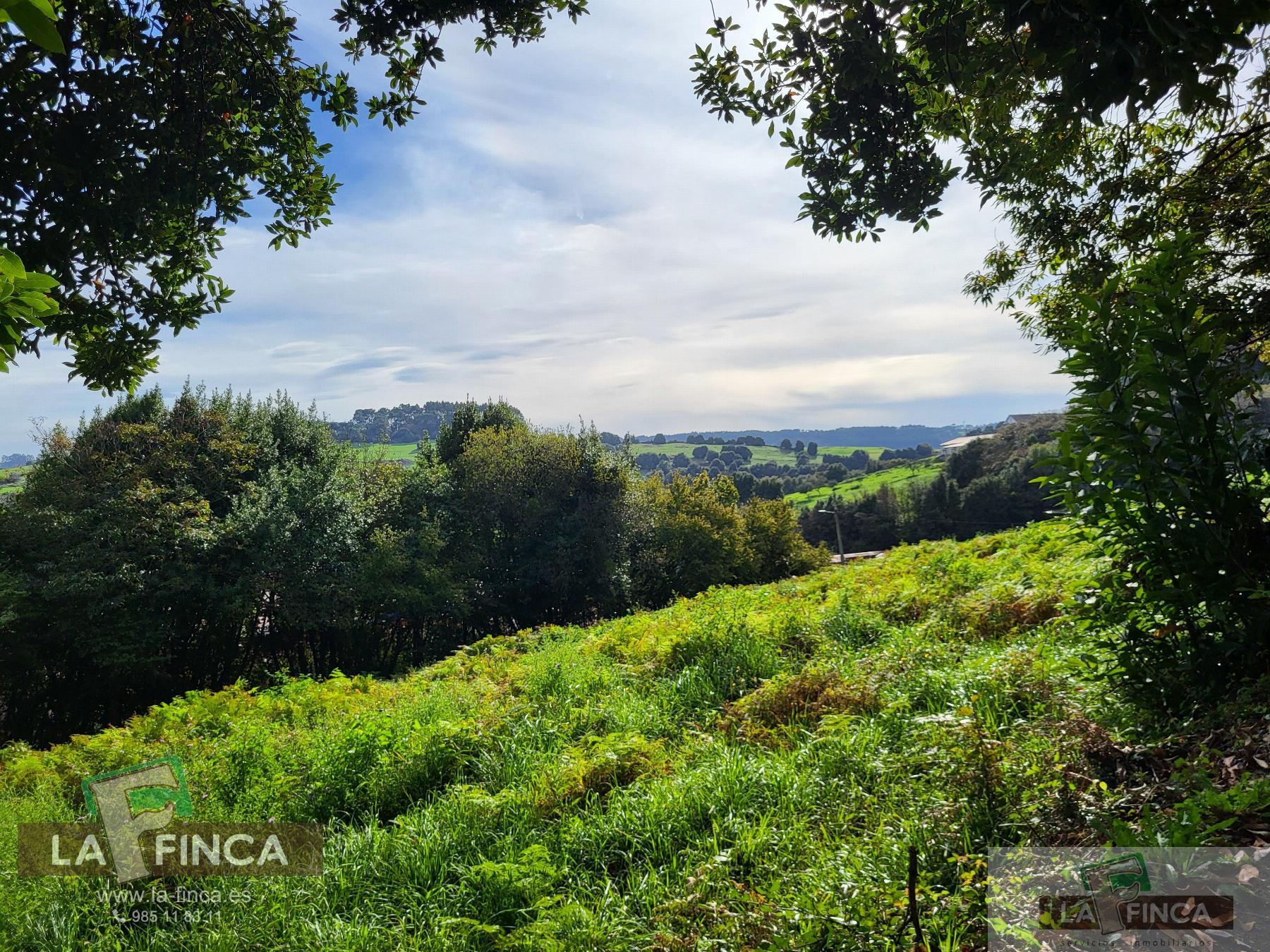 For sale of land in Carreño