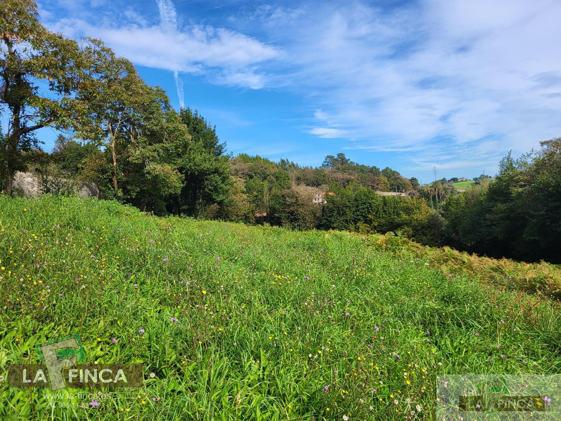 For sale of land in Carreño
