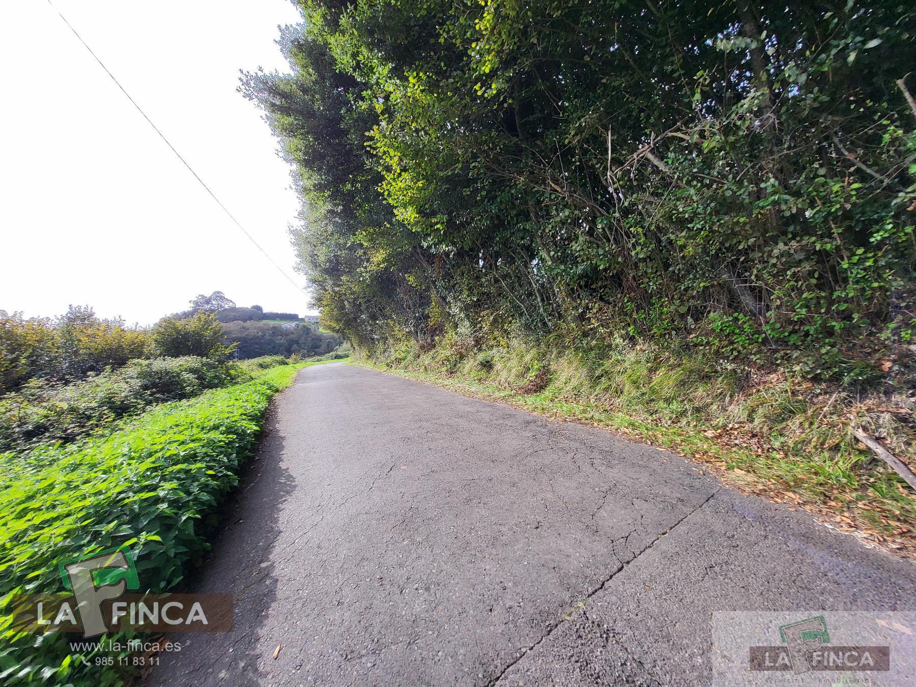For sale of land in Carreño