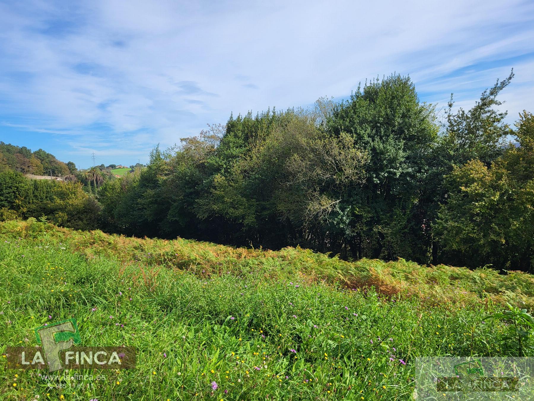 For sale of land in Carreño