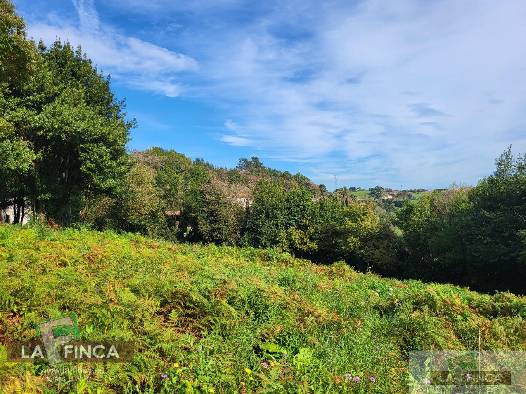For sale of land in Carreño