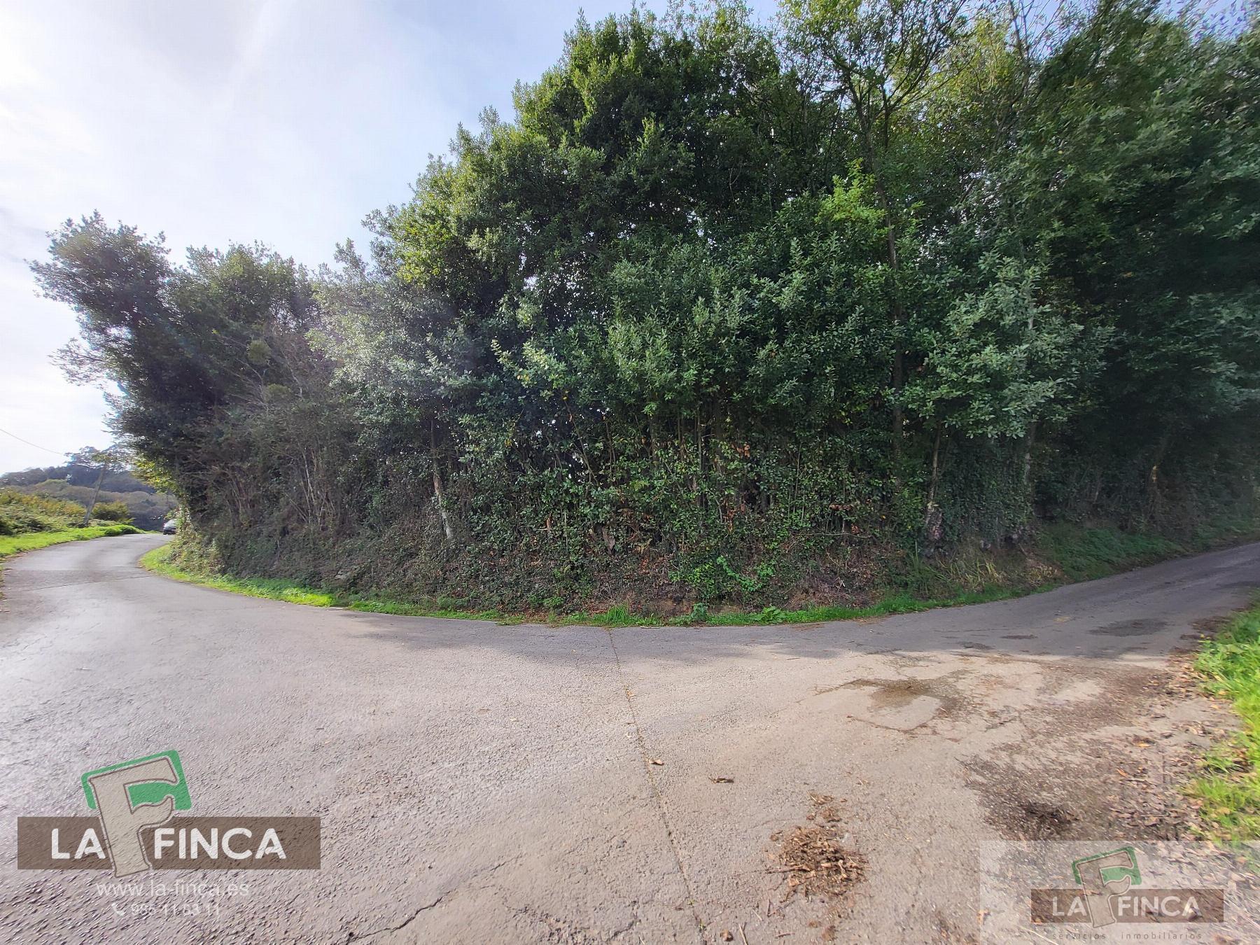 For sale of land in Carreño