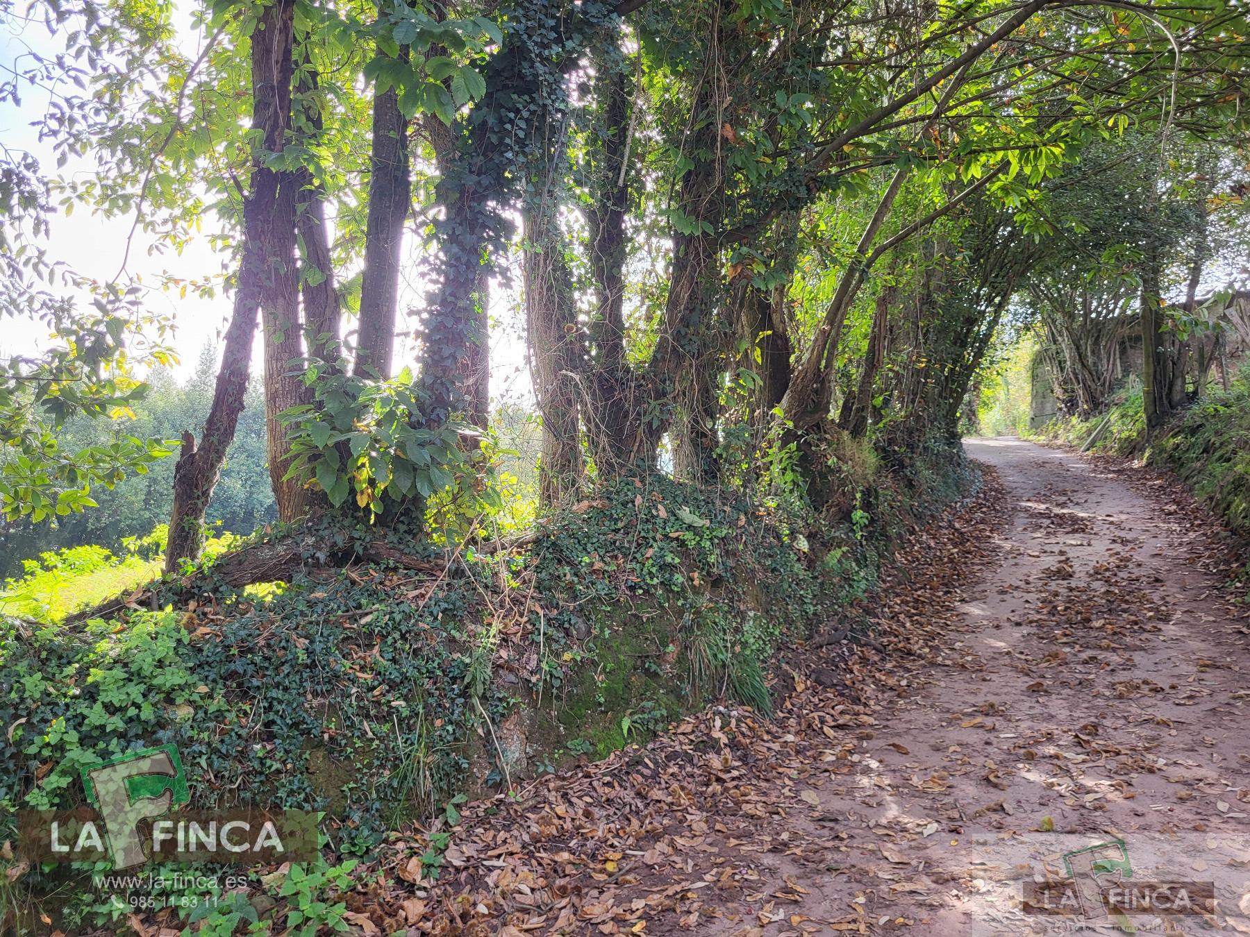 For sale of land in Carreño