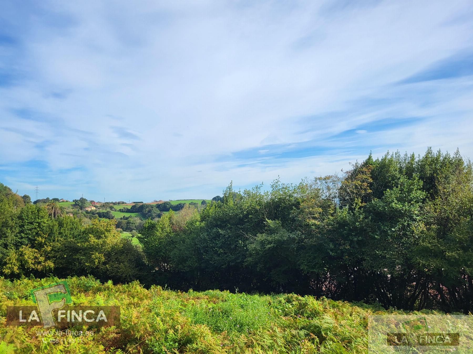 For sale of land in Carreño