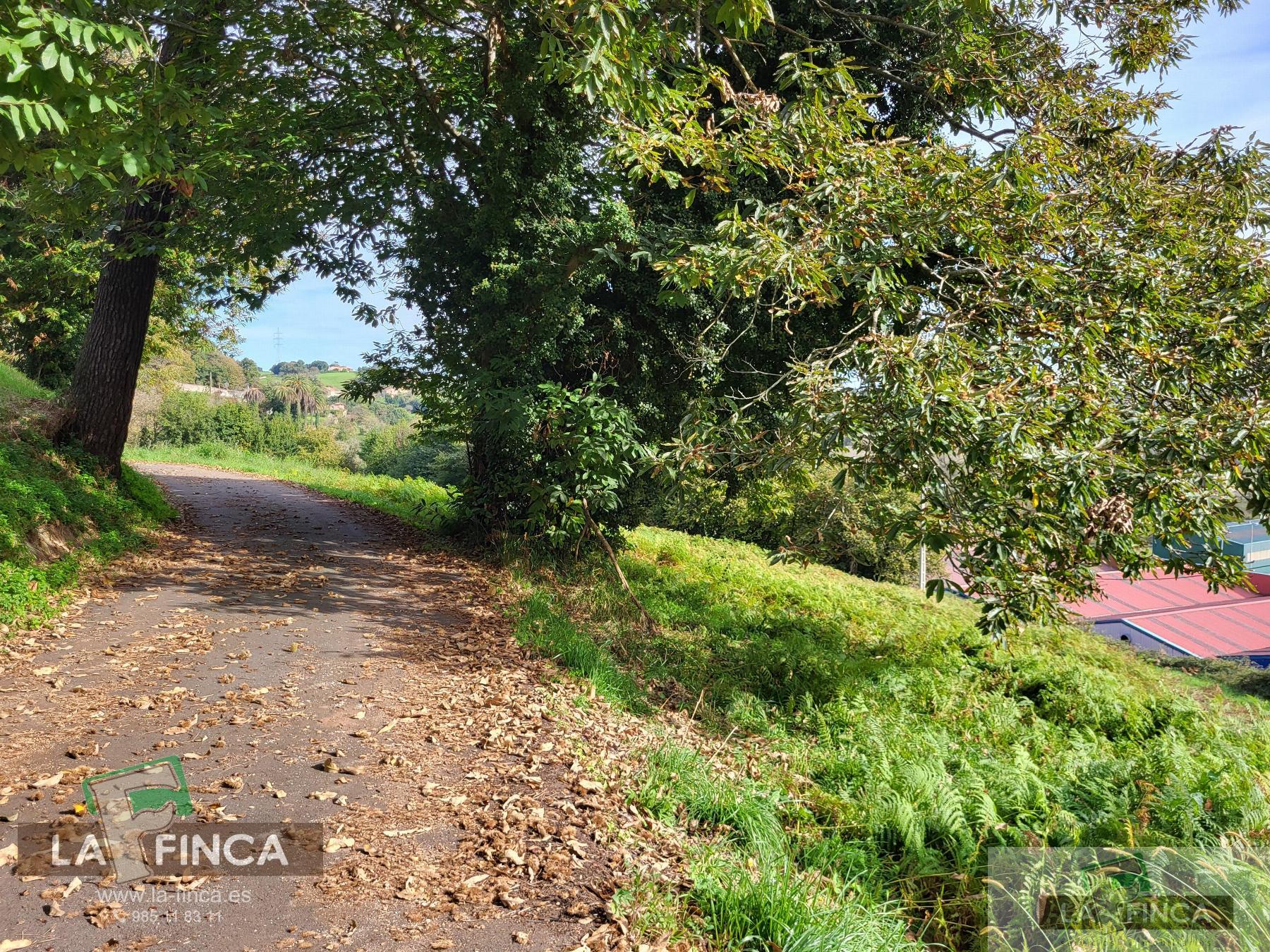 For sale of land in Carreño