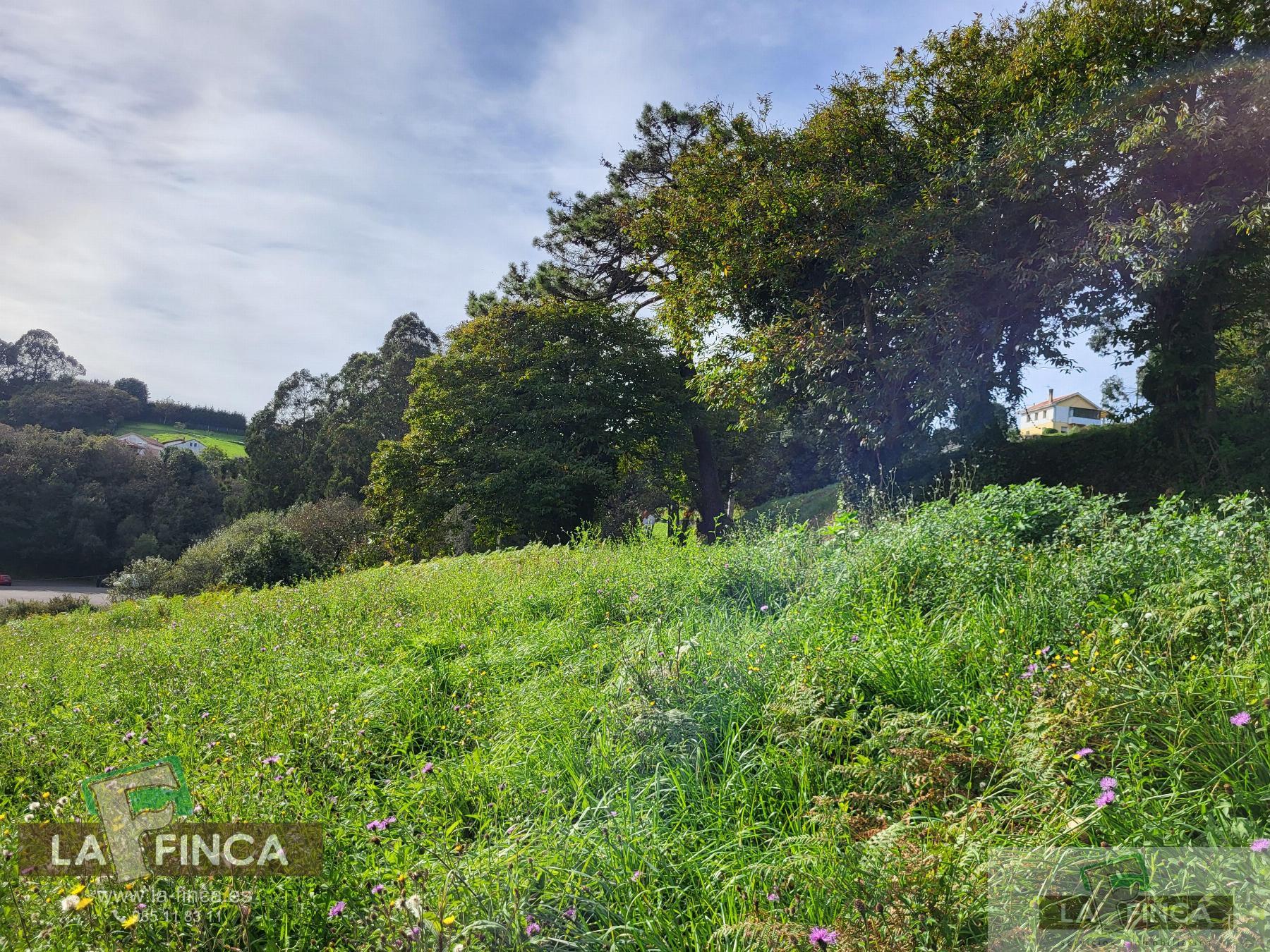 For sale of land in Carreño