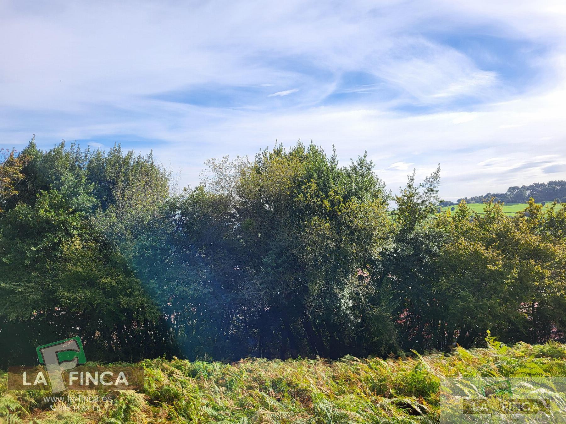 For sale of land in Carreño
