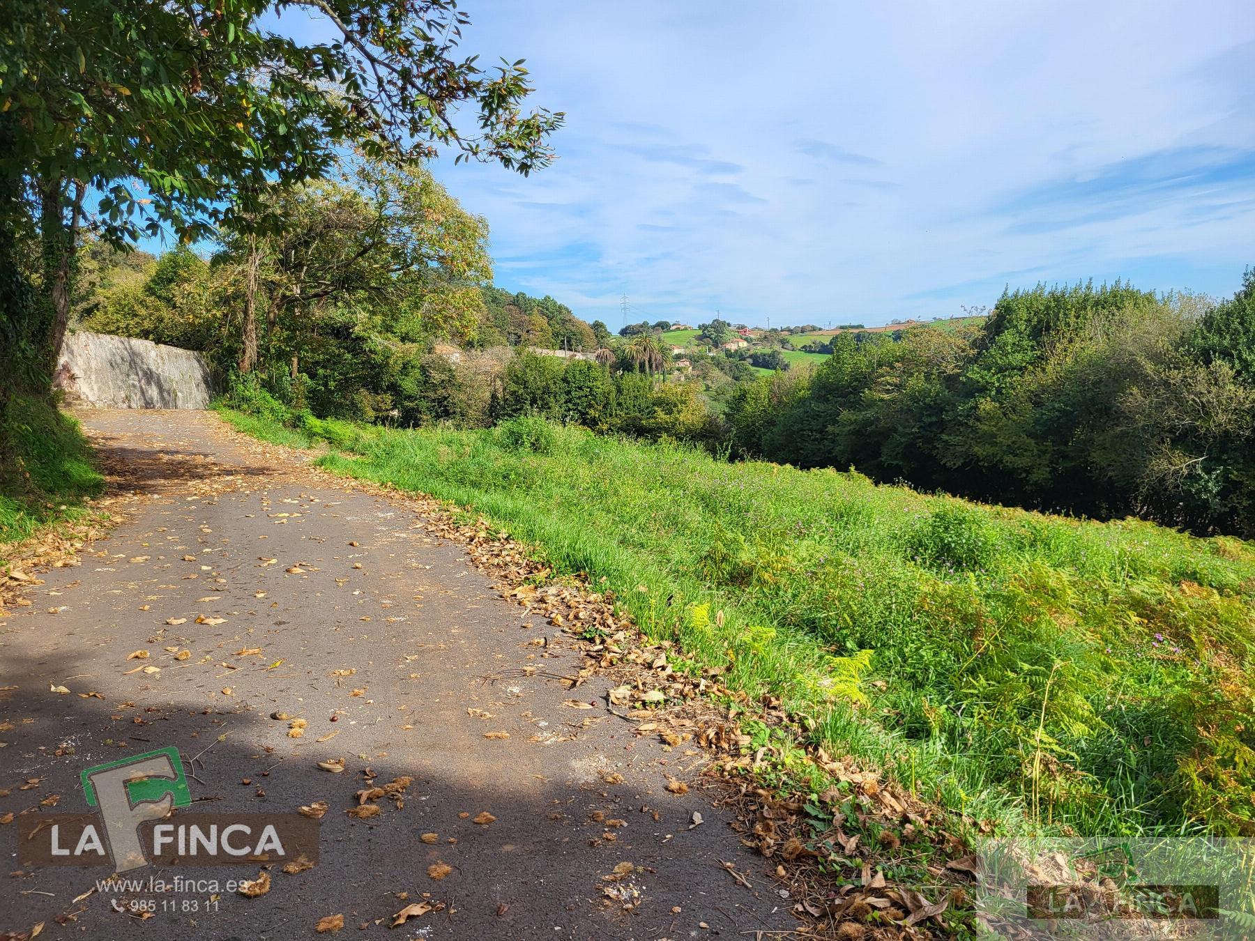 For sale of land in Carreño