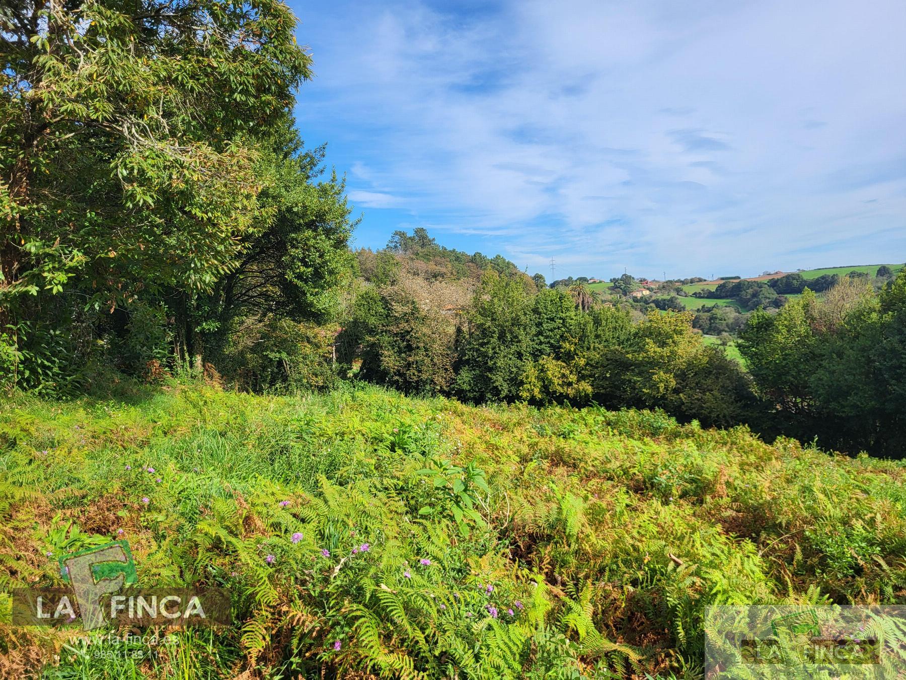 For sale of land in Carreño