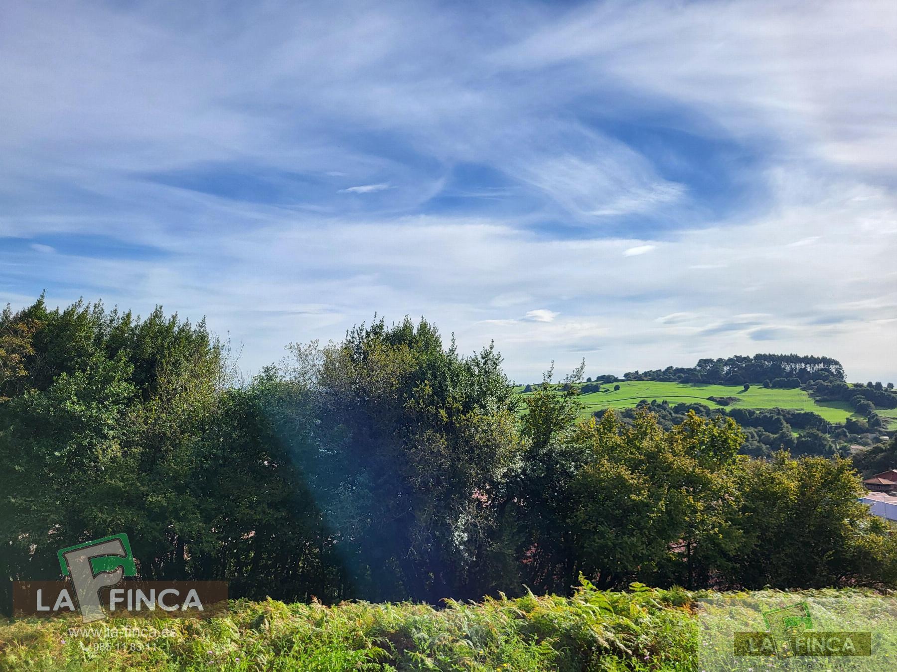 For sale of land in Carreño