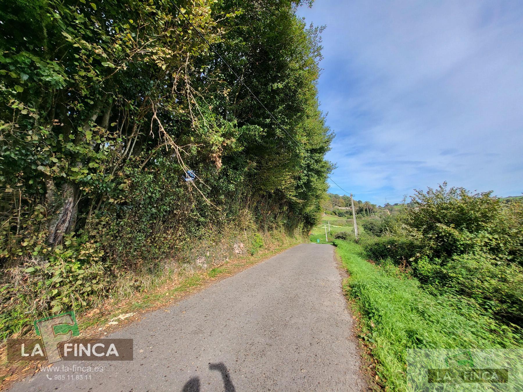 For sale of land in Carreño
