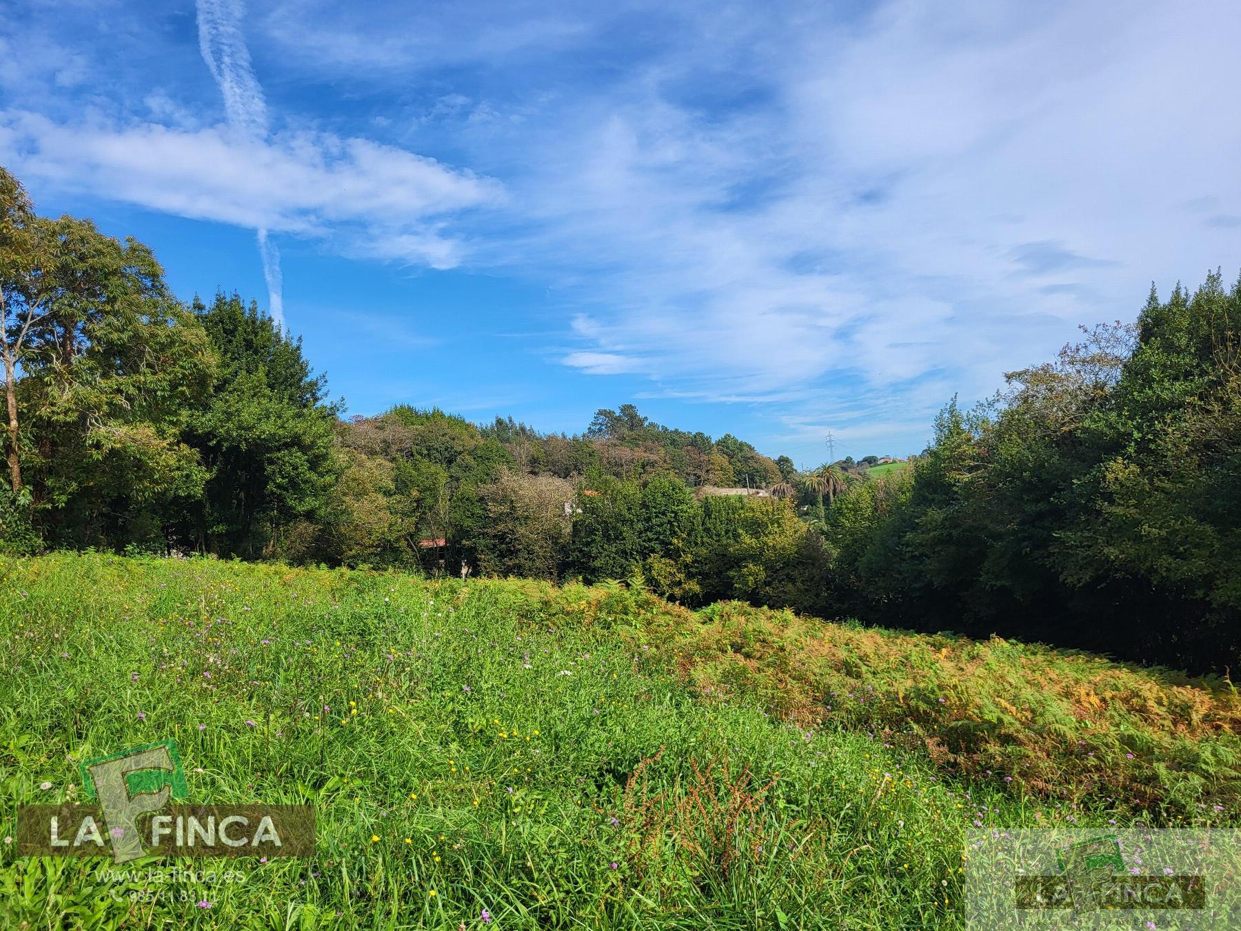 For sale of land in Carreño