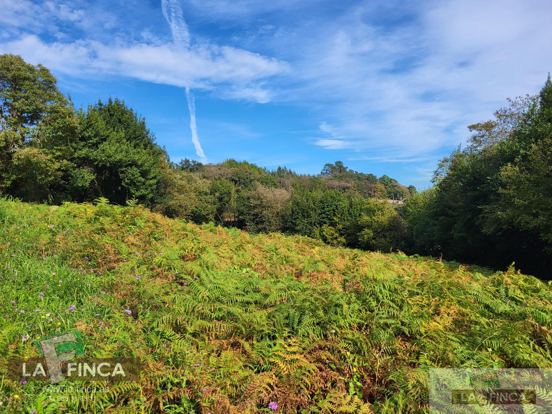 For sale of land in Carreño