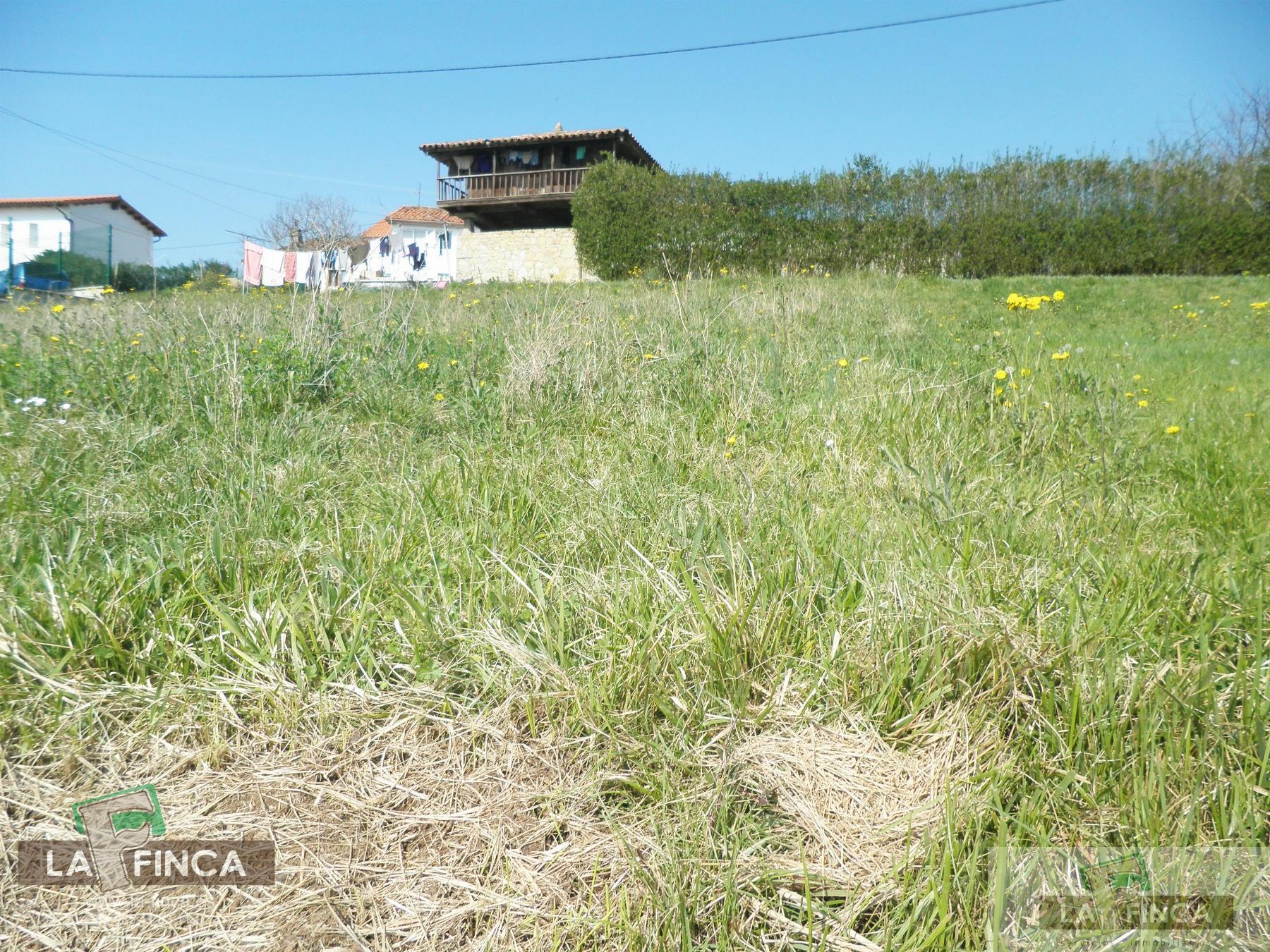 For sale of land in Oviedo