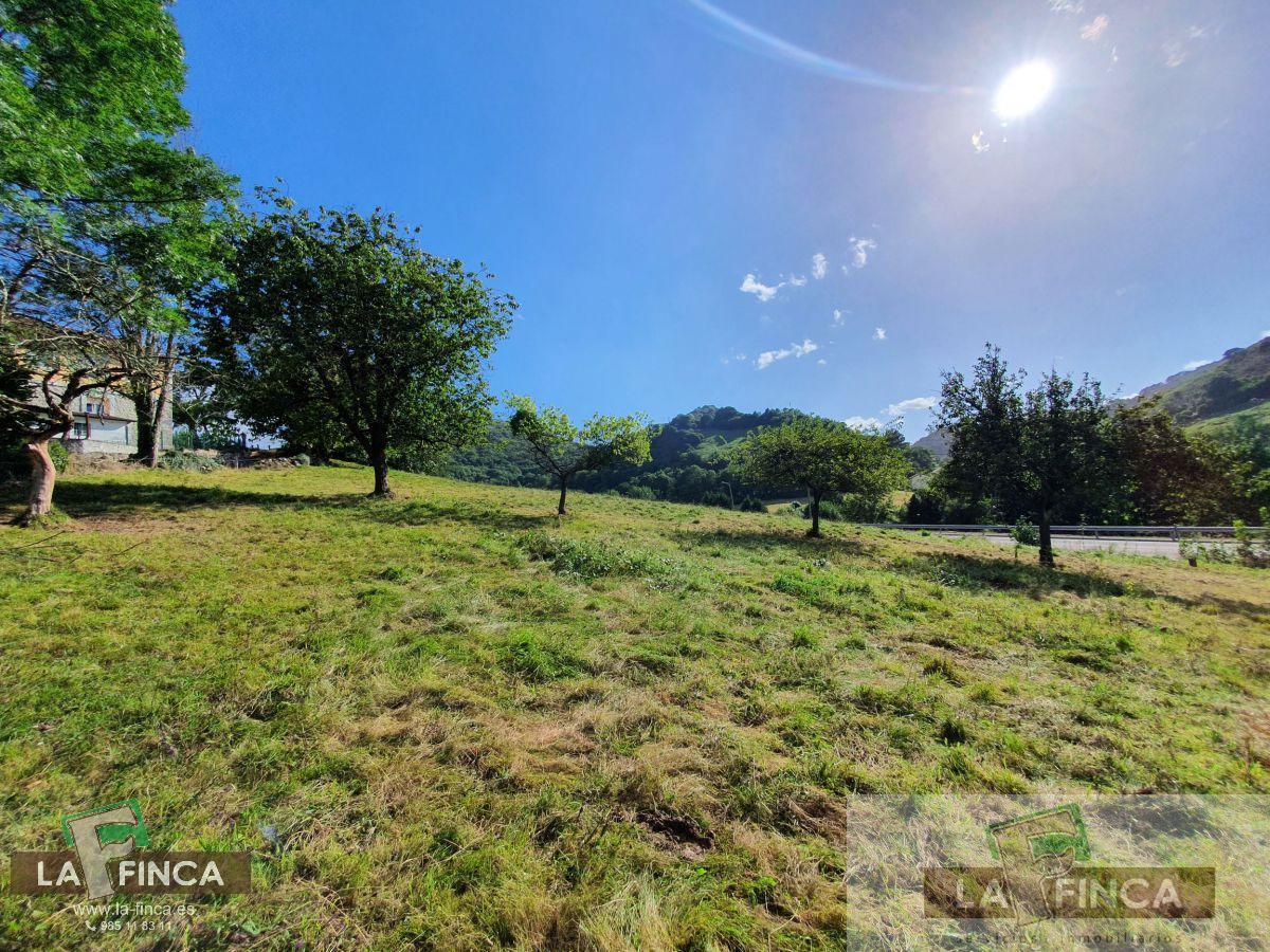 For sale of house in Oviedo