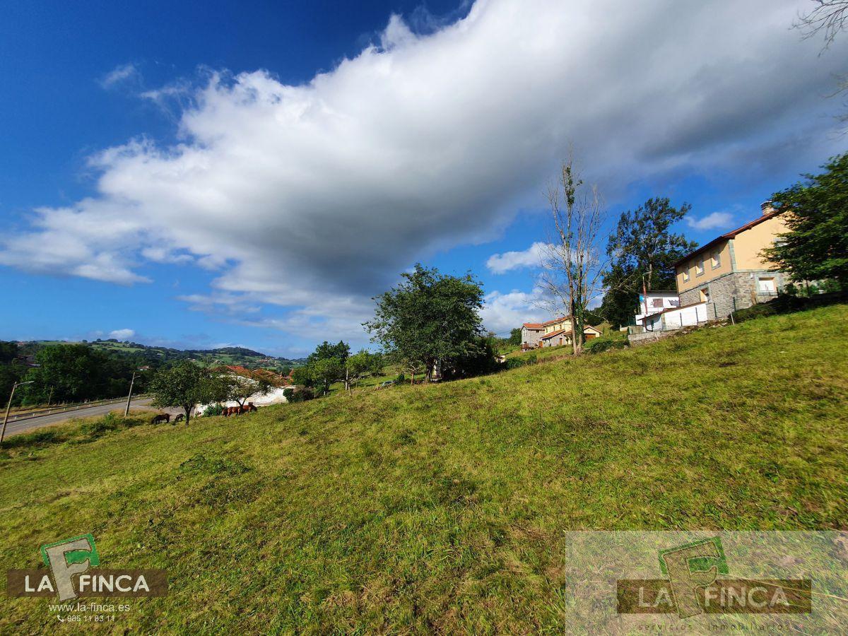 For sale of house in Oviedo
