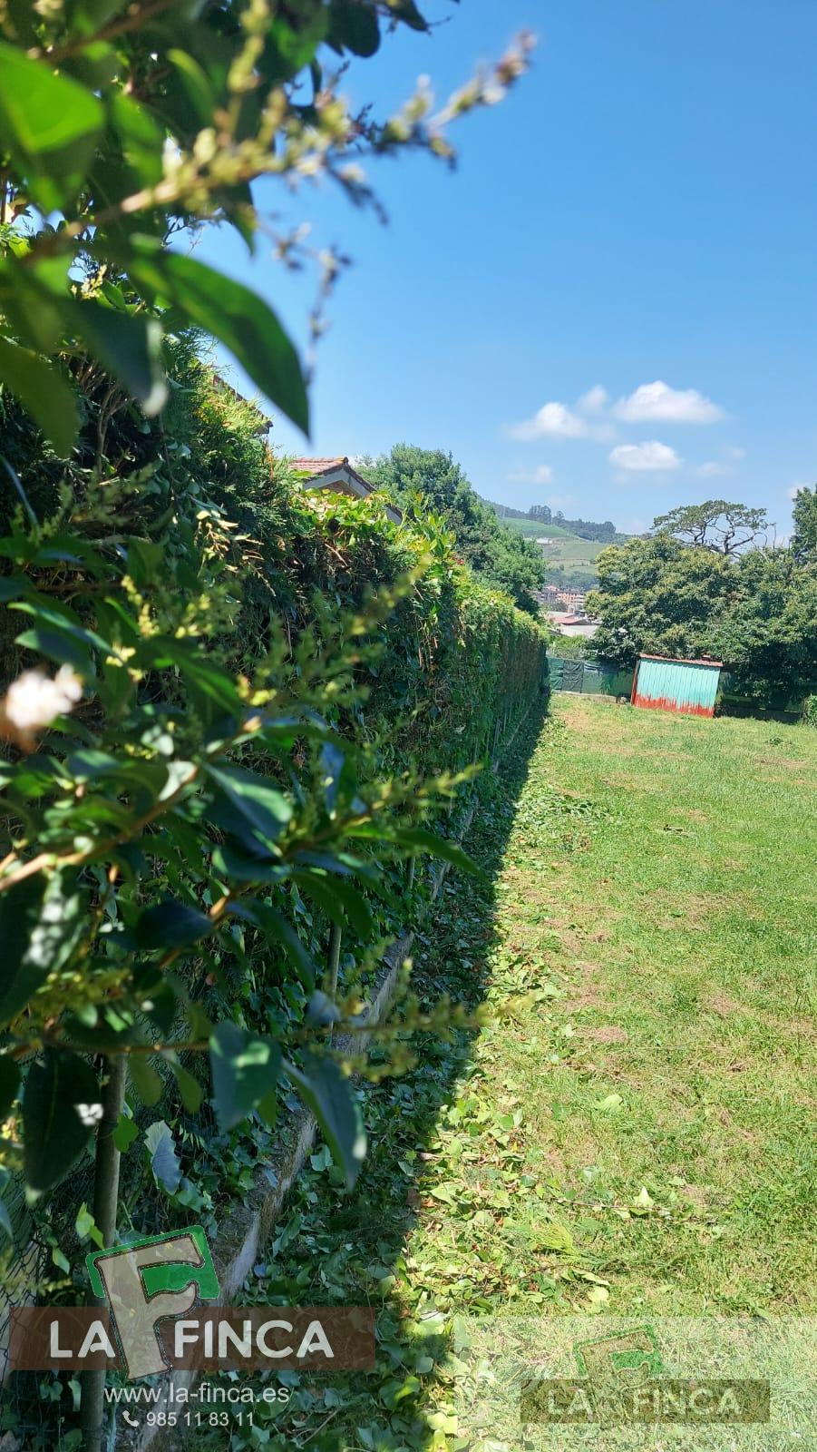 For sale of land in Llanera