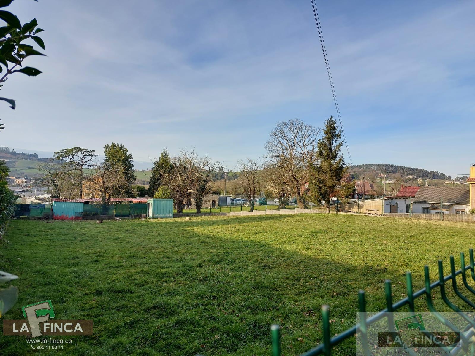 For sale of land in Llanera