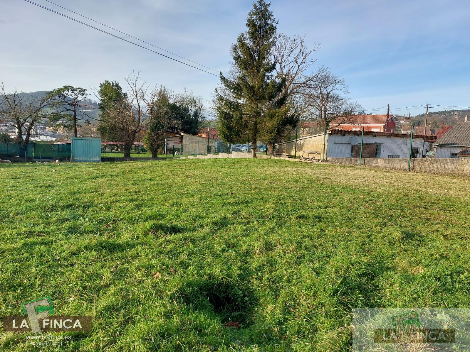 For sale of land in Llanera